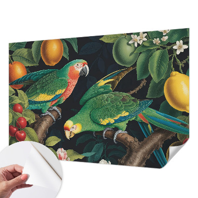 Samolepicí fototapeta do dětského pokoje Tropické dobrodružství