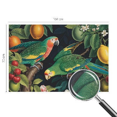 Samolepicí fototapeta do dětského pokoje Tropické dobrodružství