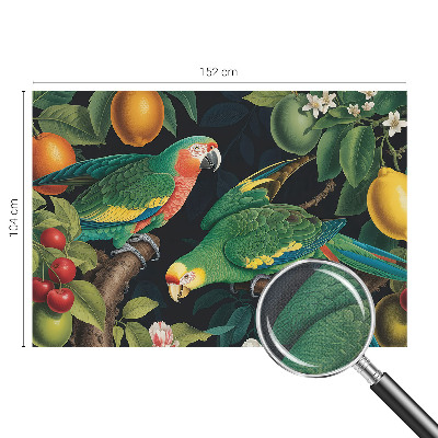 Samolepicí fototapeta do dětského pokoje Tropické dobrodružství