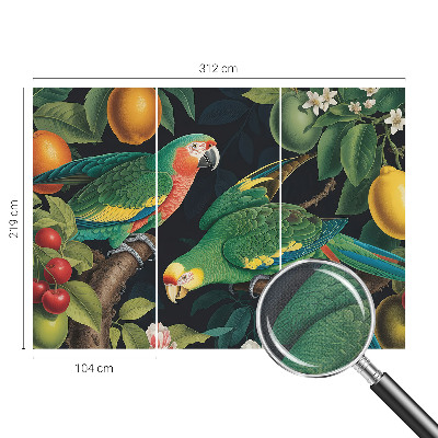 Samolepicí fototapeta do dětského pokoje Tropické dobrodružství