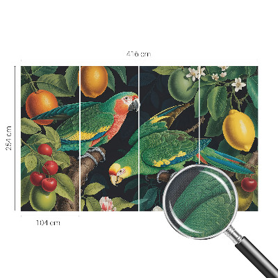 Samolepicí fototapeta do dětského pokoje Tropické dobrodružství