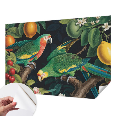 Samolepicí fototapeta do dětského pokoje Tropické dobrodružství