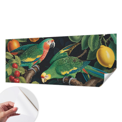 Samolepicí fototapeta do dětského pokoje Tropické dobrodružství