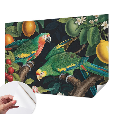 Samolepicí fototapeta do dětského pokoje Tropické dobrodružství