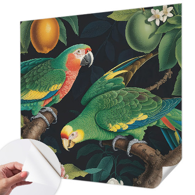 Samolepicí fototapeta do dětského pokoje Tropické dobrodružství