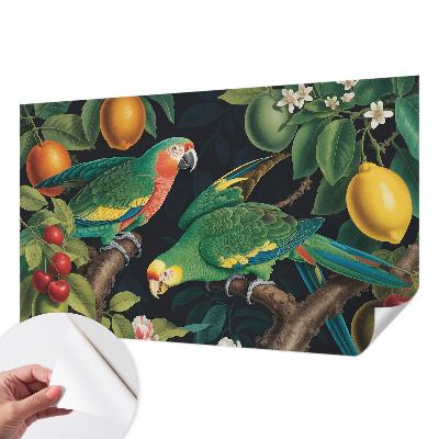 Samolepicí fototapeta do dětského pokoje Tropické dobrodružství