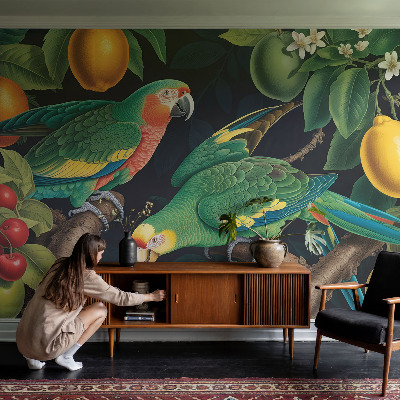 Samolepicí fototapeta do dětského pokoje Tropické dobrodružství