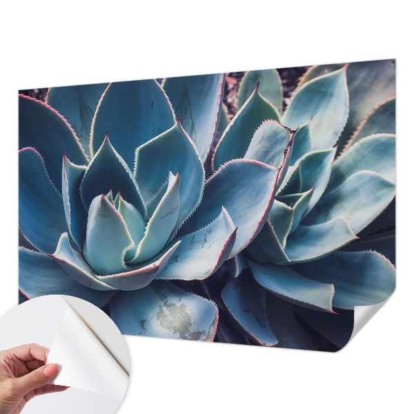 Moderní samolepicí fototapeta Zelená aloe
