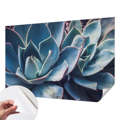 Moderní samolepicí fototapeta Zelená aloe
