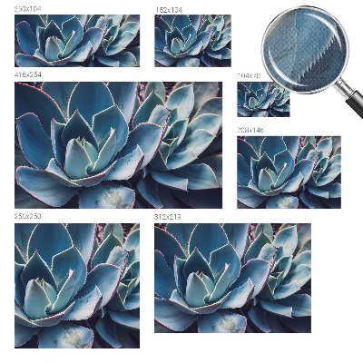 Moderní samolepicí fototapeta Zelená aloe