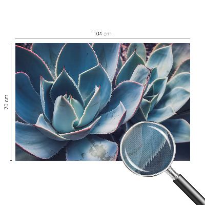 Moderní samolepicí fototapeta Zelená aloe