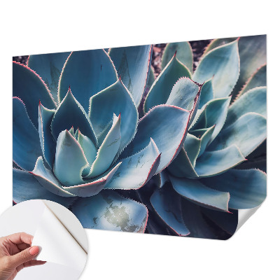 Moderní samolepicí fototapeta Zelená aloe