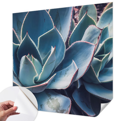 Moderní samolepicí fototapeta Zelená aloe