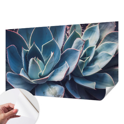 Moderní samolepicí fototapeta Zelená aloe