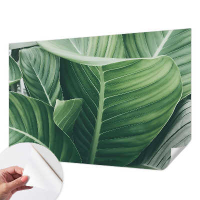 Samolepící fototapeta 3d Zelený mír