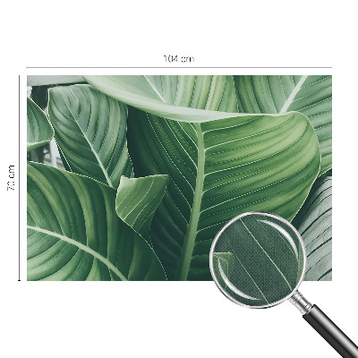 Samolepící fototapeta 3d Zelený mír