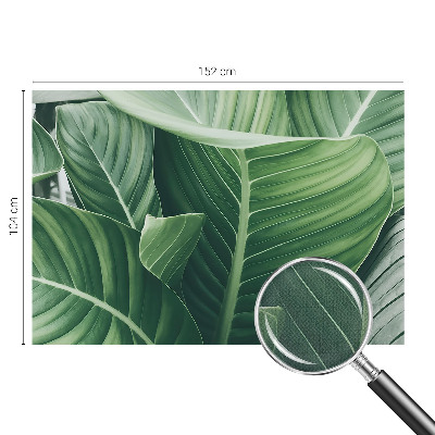 Samolepící fototapeta 3d Zelený mír