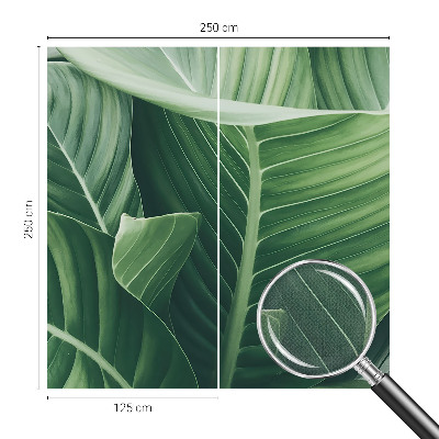 Samolepící fototapeta 3d Zelený mír
