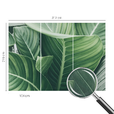Samolepící fototapeta 3d Zelený mír