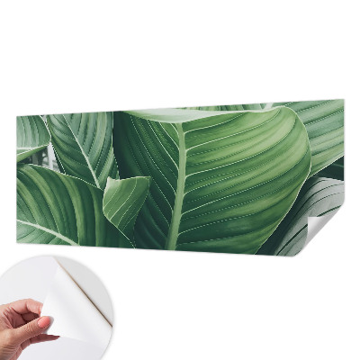 Samolepící fototapeta 3d Zelený mír
