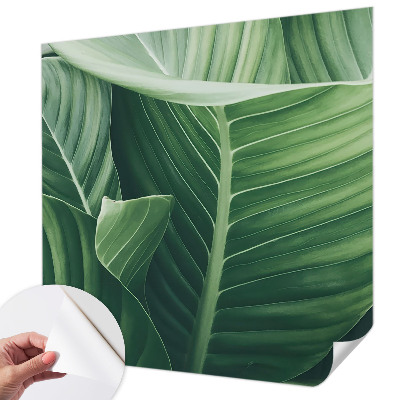Samolepící fototapeta 3d Zelený mír