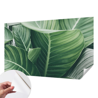 Samolepící fototapeta 3d Zelený mír