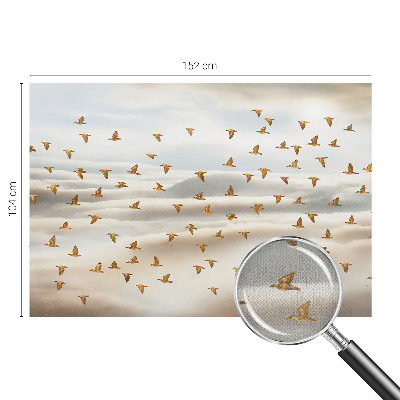 Fototapeta pro kluka Ptáci za letu