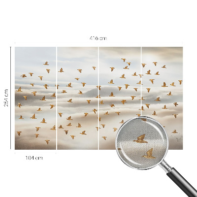 Fototapeta pro kluka Ptáci za letu