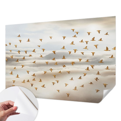 Fototapeta pro kluka Ptáci za letu