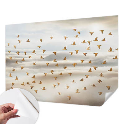 Fototapeta pro kluka Ptáci za letu