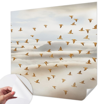 Fototapeta pro kluka Ptáci za letu