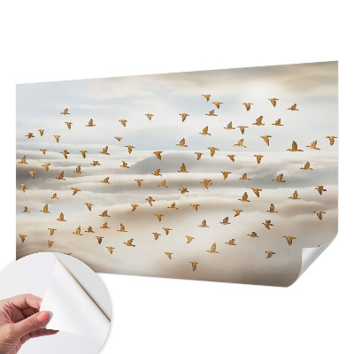 Fototapeta pro kluka Ptáci za letu