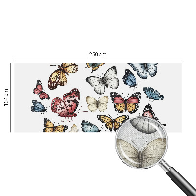 Samolepicí dekorativní fototapeta Ráj motýlů