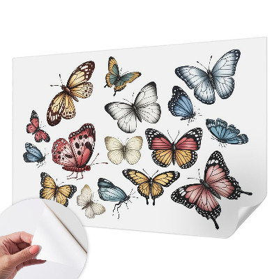 Samolepicí dekorativní fototapeta Ráj motýlů