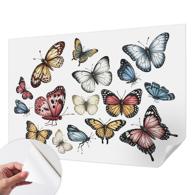 Samolepicí dekorativní fototapeta Ráj motýlů