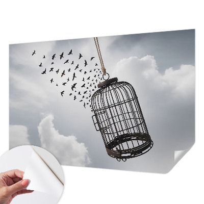 Fototapeta pro kluka Létající ptáci