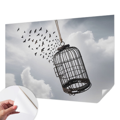 Fototapeta pro kluka Létající ptáci