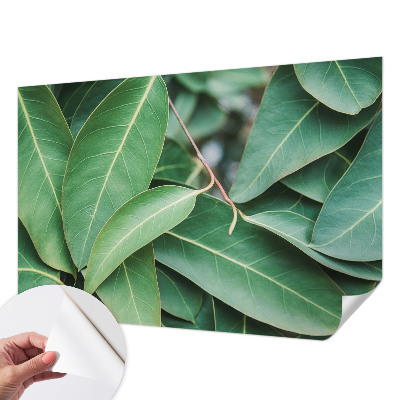 Samolepicí fototapeta Zelené listy