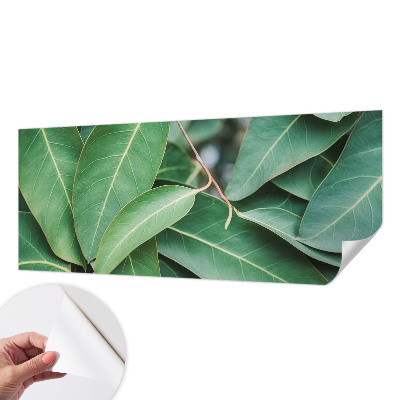 Samolepicí fototapeta Zelené listy