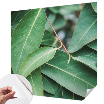 Samolepicí fototapeta Zelené listy