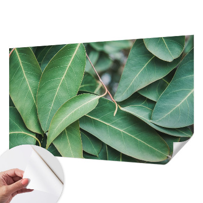 Samolepicí fototapeta Zelené listy
