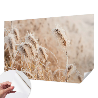Fotografická tapeta samolepicí Zimní krajina