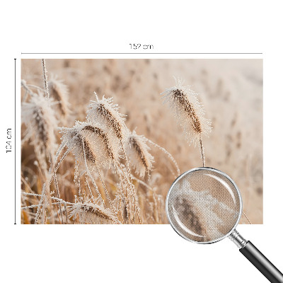 Fotografická tapeta samolepicí Zimní krajina
