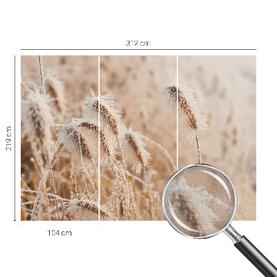 Fotografická tapeta samolepicí Zimní krajina