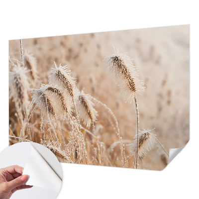 Fotografická tapeta samolepicí Zimní krajina