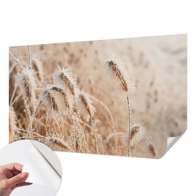 Fotografická tapeta samolepicí Zimní krajina
