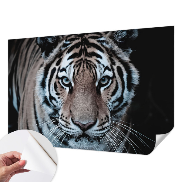 Samolepicí dekorativní fototapeta Portrét tygra