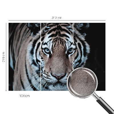 Samolepicí dekorativní fototapeta Portrét tygra