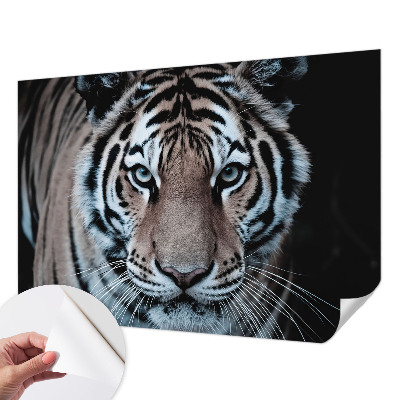 Samolepicí dekorativní fototapeta Portrét tygra