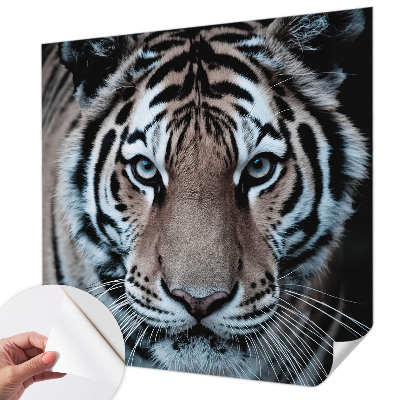 Samolepicí dekorativní fototapeta Portrét tygra